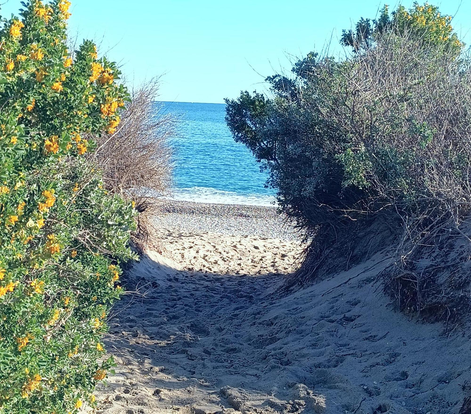 Logement Plage Saint-Cyprien  Exterior foto